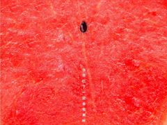 -海底捞火锅(方圆荟店)