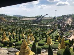 -东芭乐园
