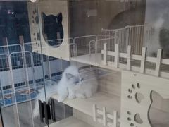 -萌小它宠物健康管理中心(怡海家园店)