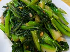 炒菜心-齿留香湛江生蚝(白沙大道西店)