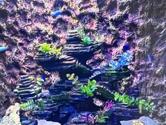 -北戴河圣蓝海洋公园