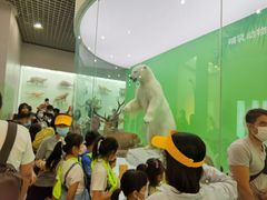 -国家自然博物馆