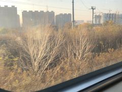 -夕阳红小吃(中街大悦城店)
