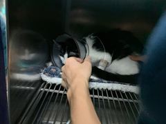 -东莞宠友24H宠物中心医院·转诊夜诊·异宠(新河北路院)