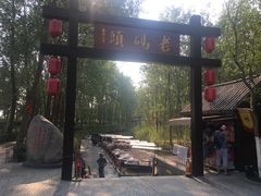 -合肥滨湖国家森林公园