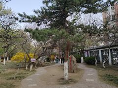 -桃花堤公园