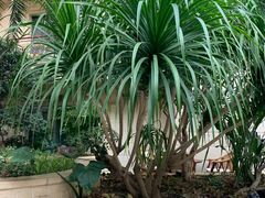 -大东方海鲜酒楼(小武基桥店)