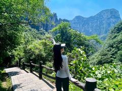 -云台山风景名胜区