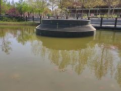 -大望京公园