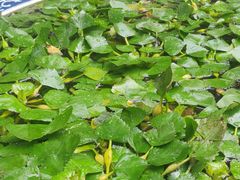 -天津格格府典藏博物馆