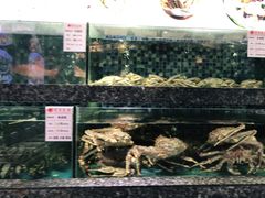-宝燕壹号(徐汇店)