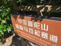 -普陀山风景区-佛顶山