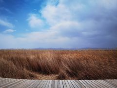 -野鸭湖国家湿地公园