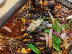 -鱼酷活鱼烤鱼(沈阳大悦城店)