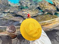 -海合安成都极地海洋公园