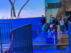 -华夏文旅海洋公园