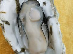 -蚝专家(北滘店)