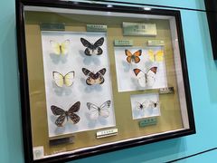 -上海昆虫博物馆