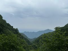 -都江堰石锅鱼