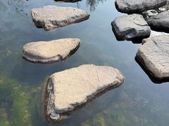 -溪口-滕头旅游景区