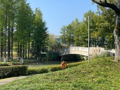 -四灶儿·2005地道杭帮菜(杭州鼓楼1店)