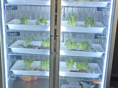 -33韩式自助烧烤(环城南路店)