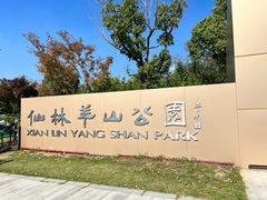 -羊山湖公园