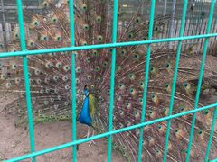 -上海多利农业发展有限公司