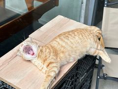 -微焙咖啡工厂(海峡创意产业园·红坊店)