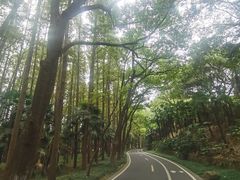 -采石矶景区