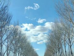 -金家烤鳗鱼(西塔旗舰店)