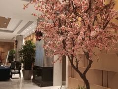 -上海大宁福朋喜来登酒店大堂吧(共和新路店)