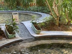 -碧水湾温泉