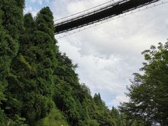 -娄山关景区