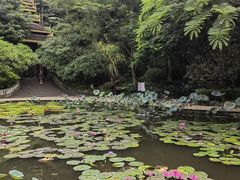 -曼听御花园