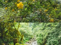 -西岭雪山大飞水景区