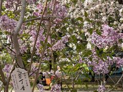 -元大都城垣遗址公园
