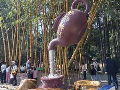 -金山植物公园