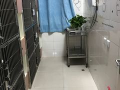 -瑞派宠物医院·24h·骨外科·皮肤科·全科宠物医疗转诊中心(沈阳浑南院)