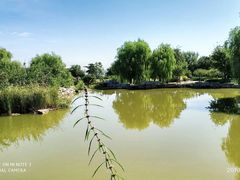 -北京西山国家森林公园