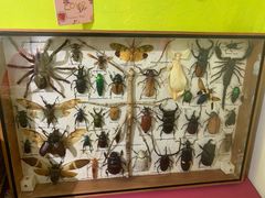 -恋物百货商店(华侨城店)