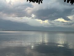 -野菌皇海景野生菌火锅(滨海大道店)