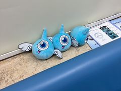 -上海大学附属上海和平眼科医院