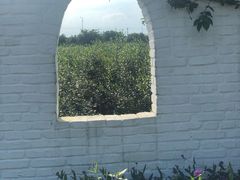 -金谷域澳洲庄园