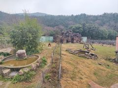 -无锡动物园·太湖欢乐园