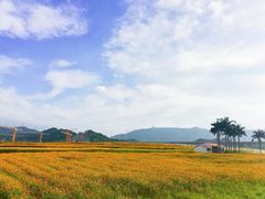 -光明小镇欢乐田园