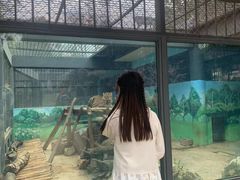 -昆明动物园