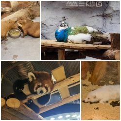 -Zoolung Zoolung动物主题公园(海信广场店)