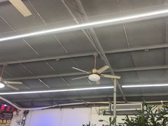 -八仔大富楼·河鲜(西江店)