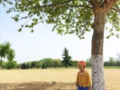 -汉长安城未央宫国家考古遗址公园